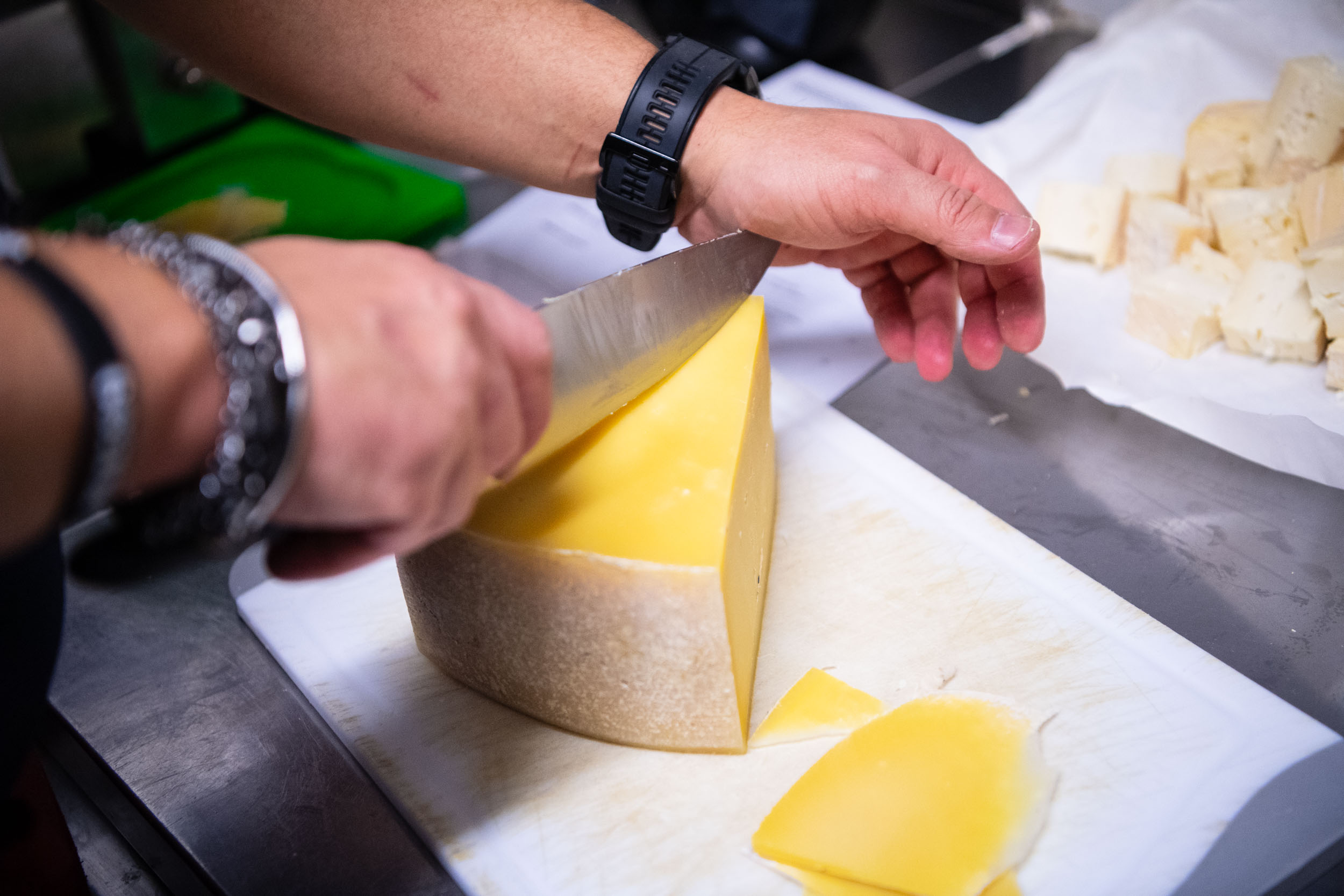 matteozanardi_(C)_025_1322