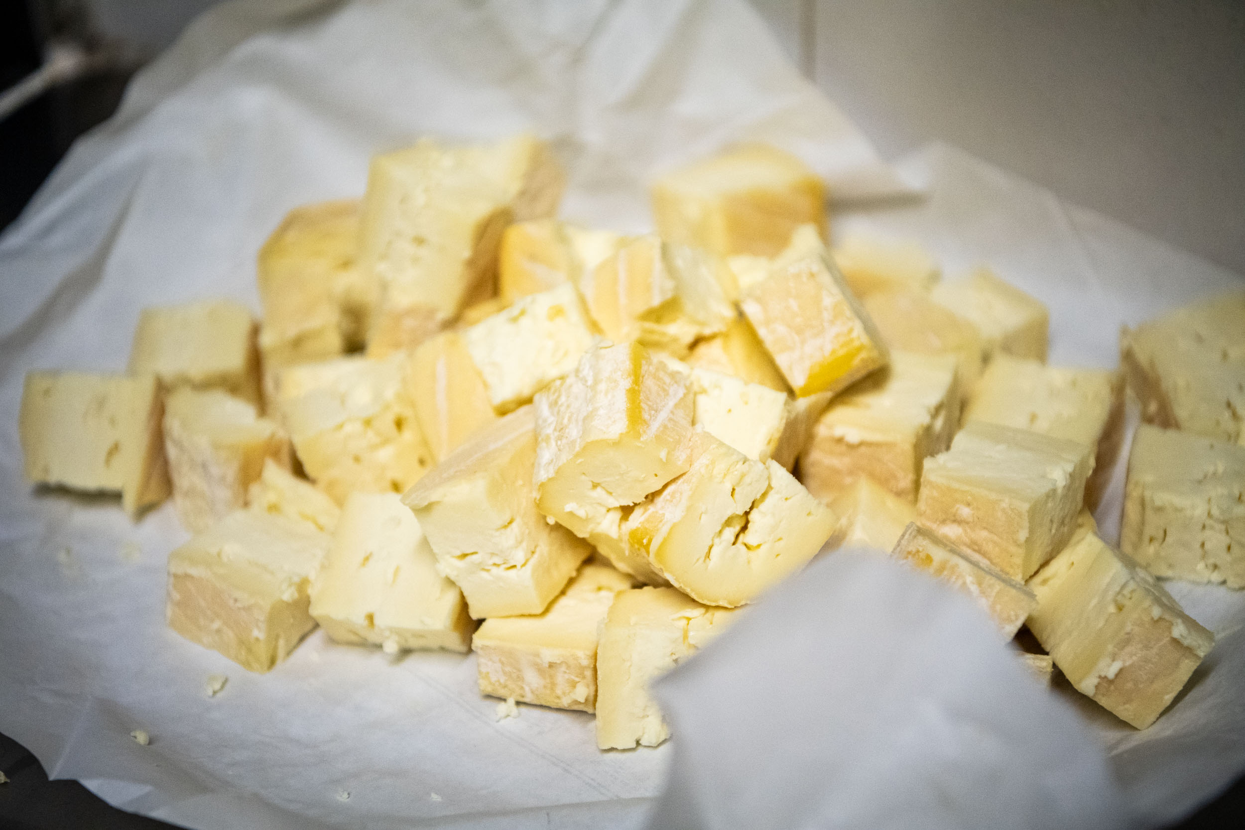 matteozanardi_(C)_025_1329