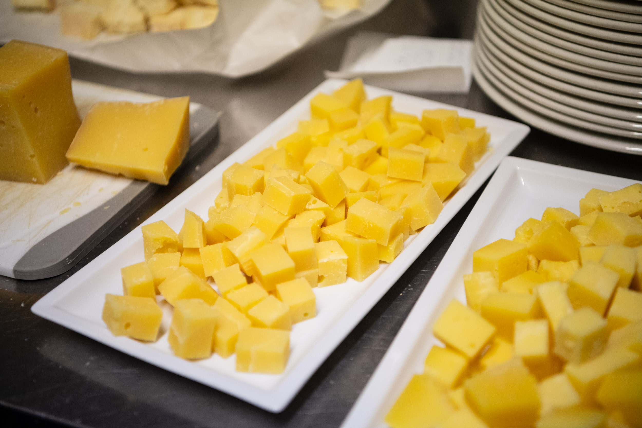 matteozanardi_(C)_025_1377