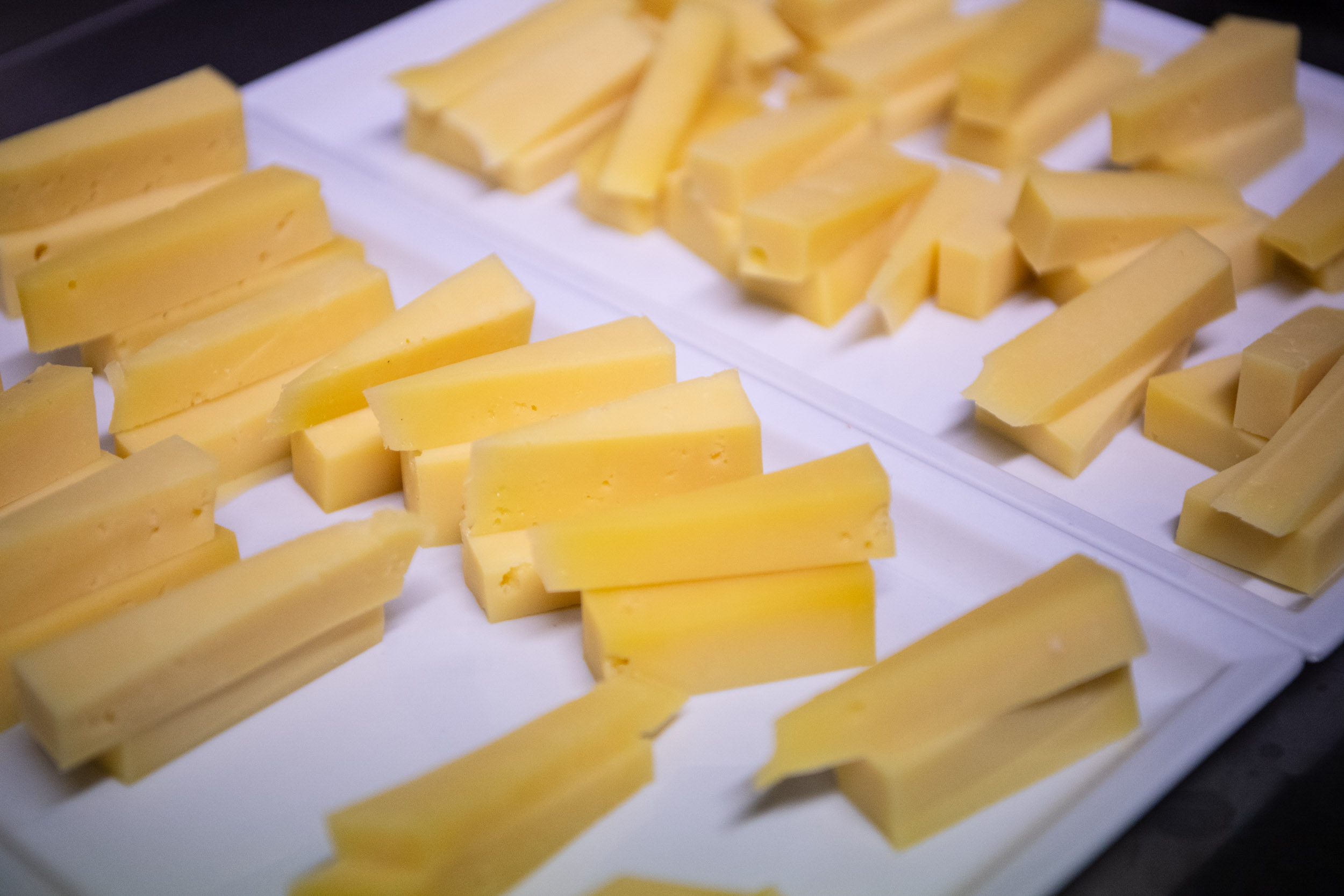 matteozanardi_(C)_025_1381