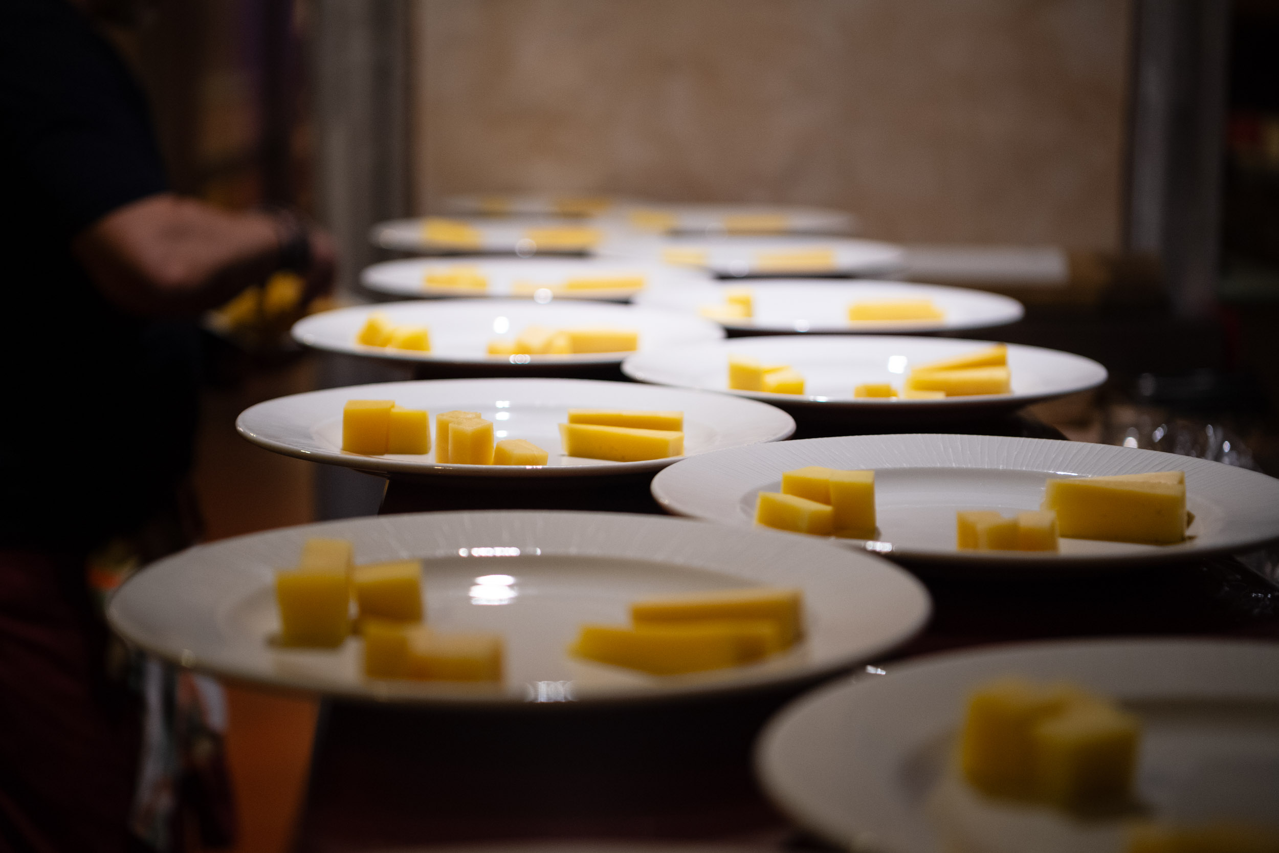 matteozanardi_(C)_025_1566