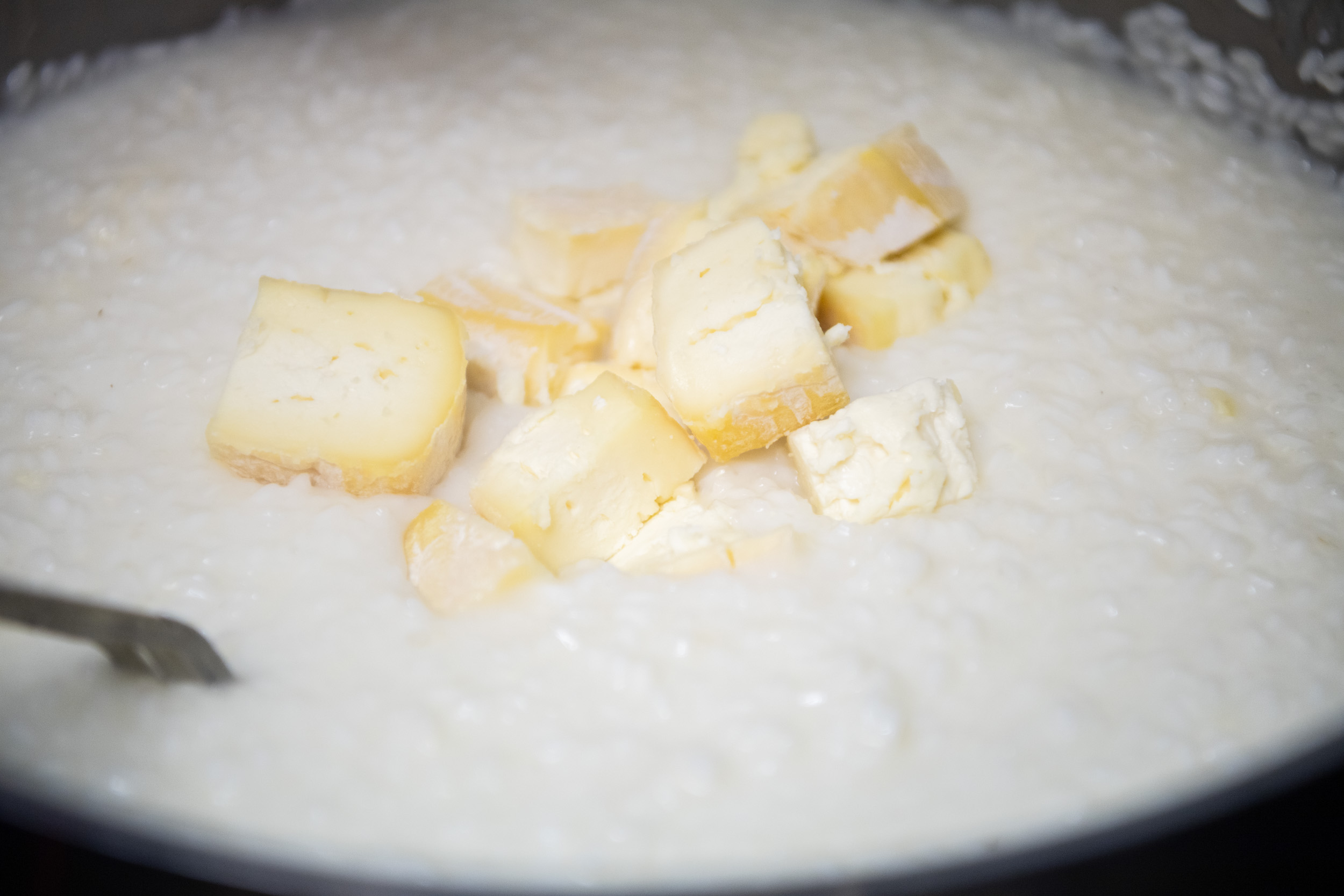 matteozanardi_(C)_025_1924