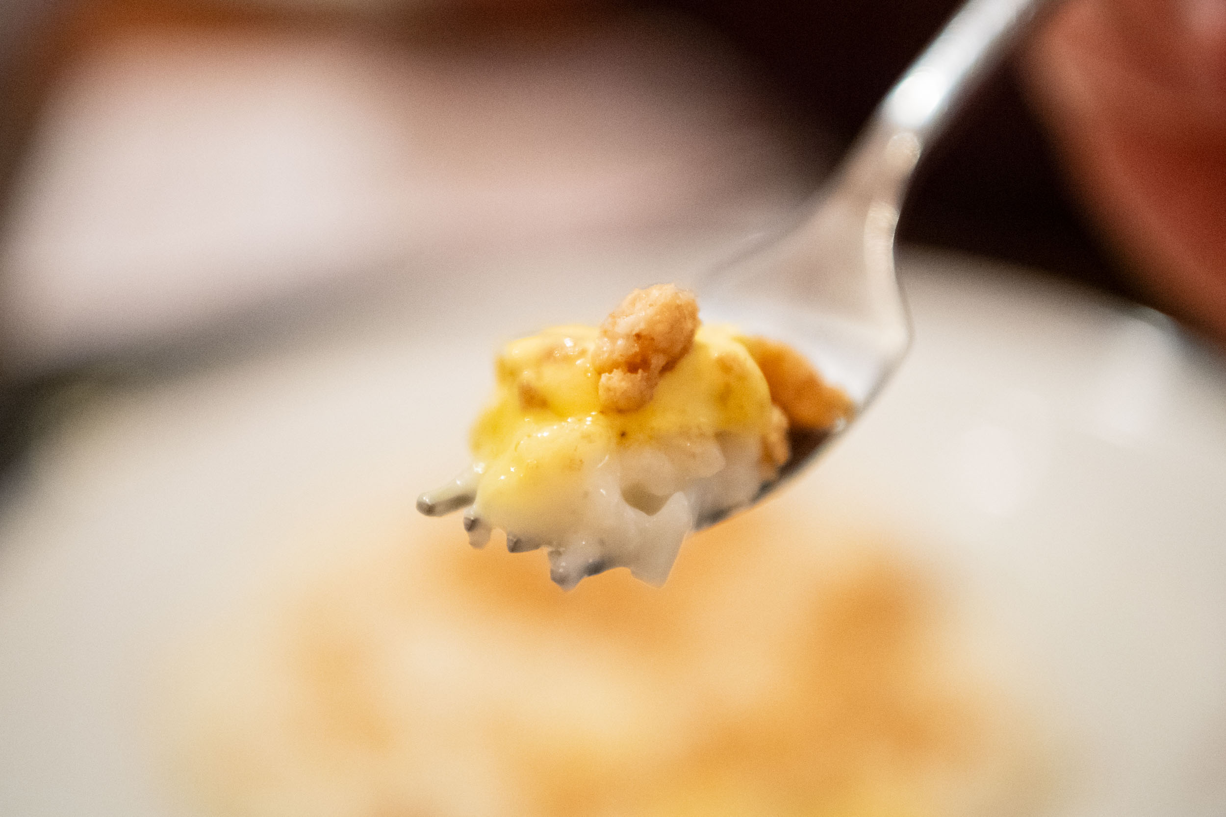 matteozanardi_(C)_025_2037