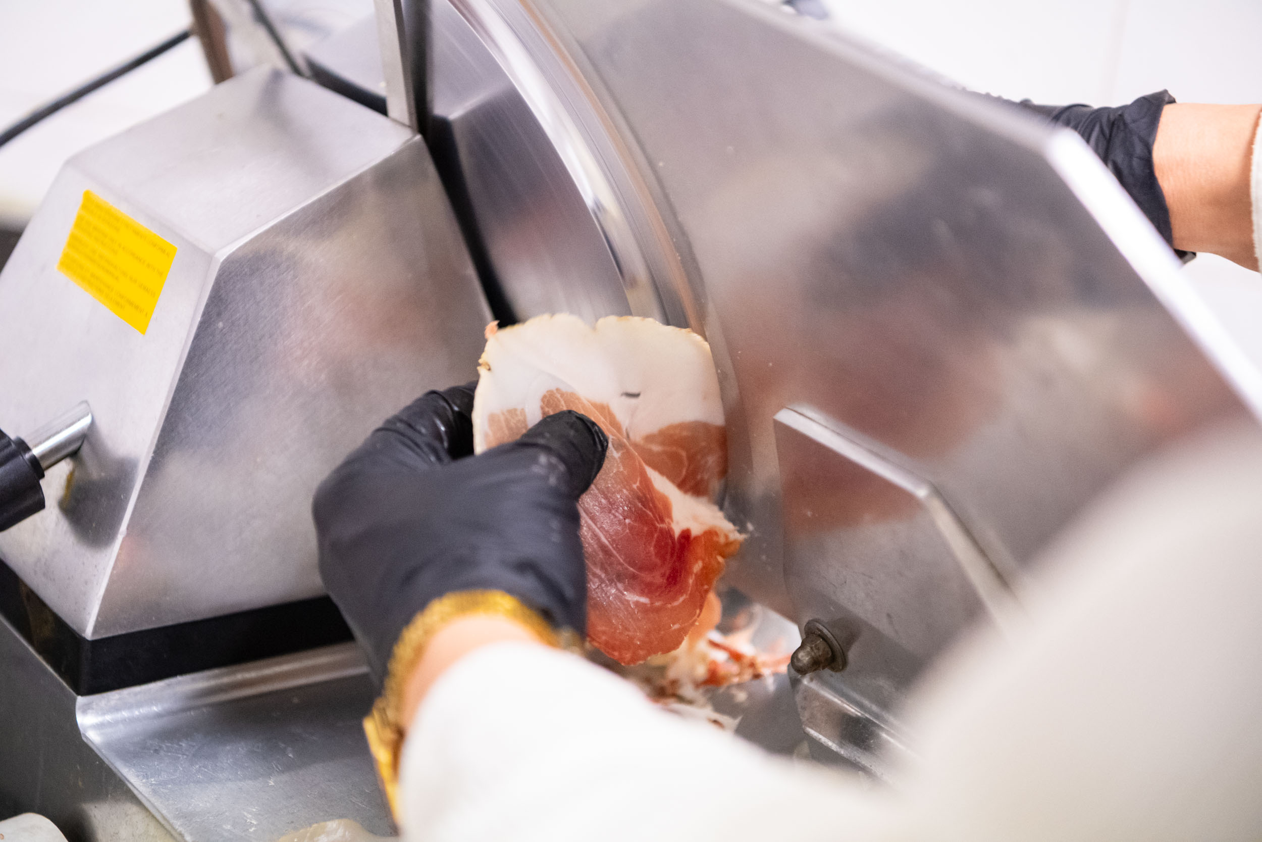 matteozanardi_(C)_025_7280