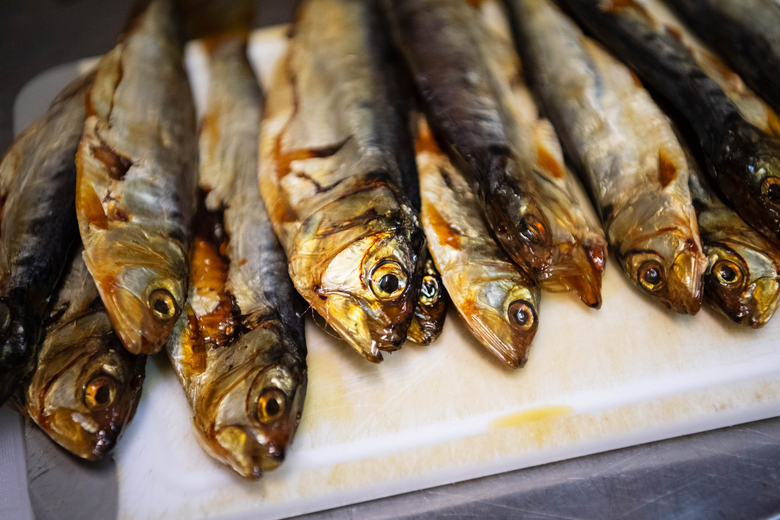 matteozanardi_(C)_025_3105