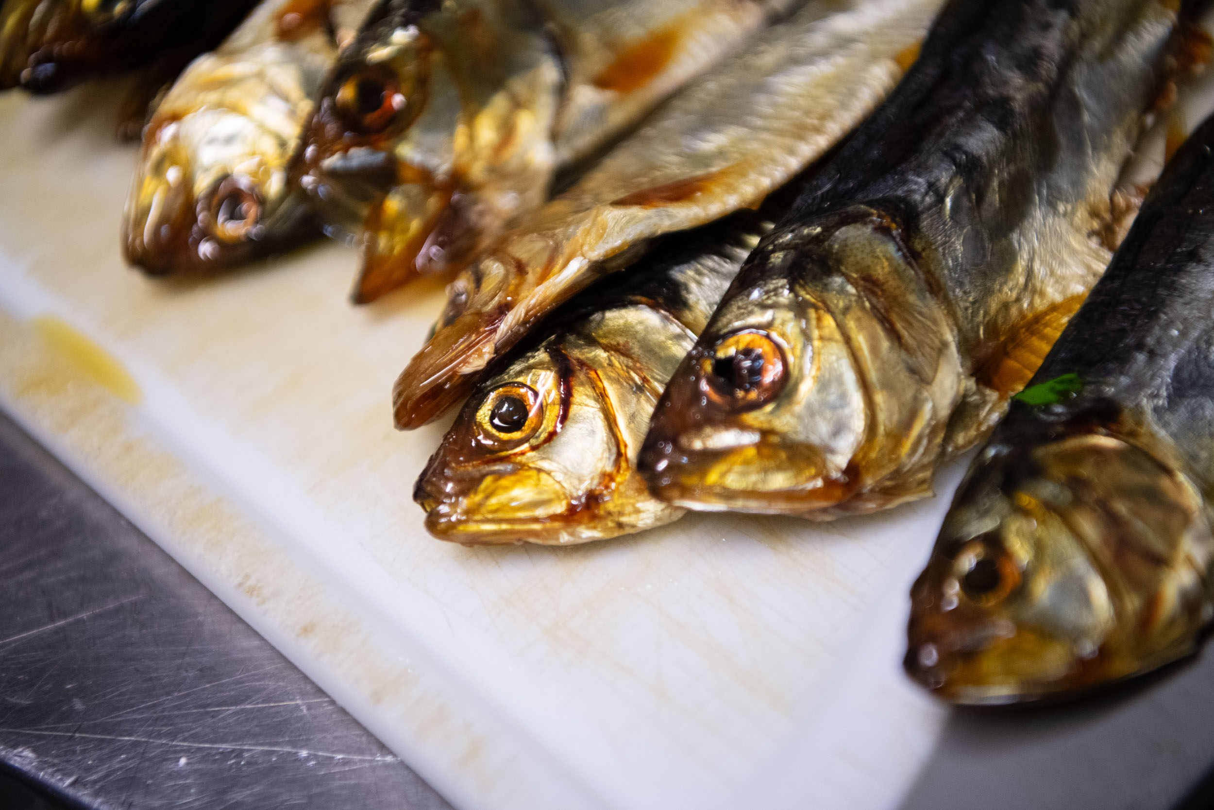 matteozanardi_(C)_025_3124