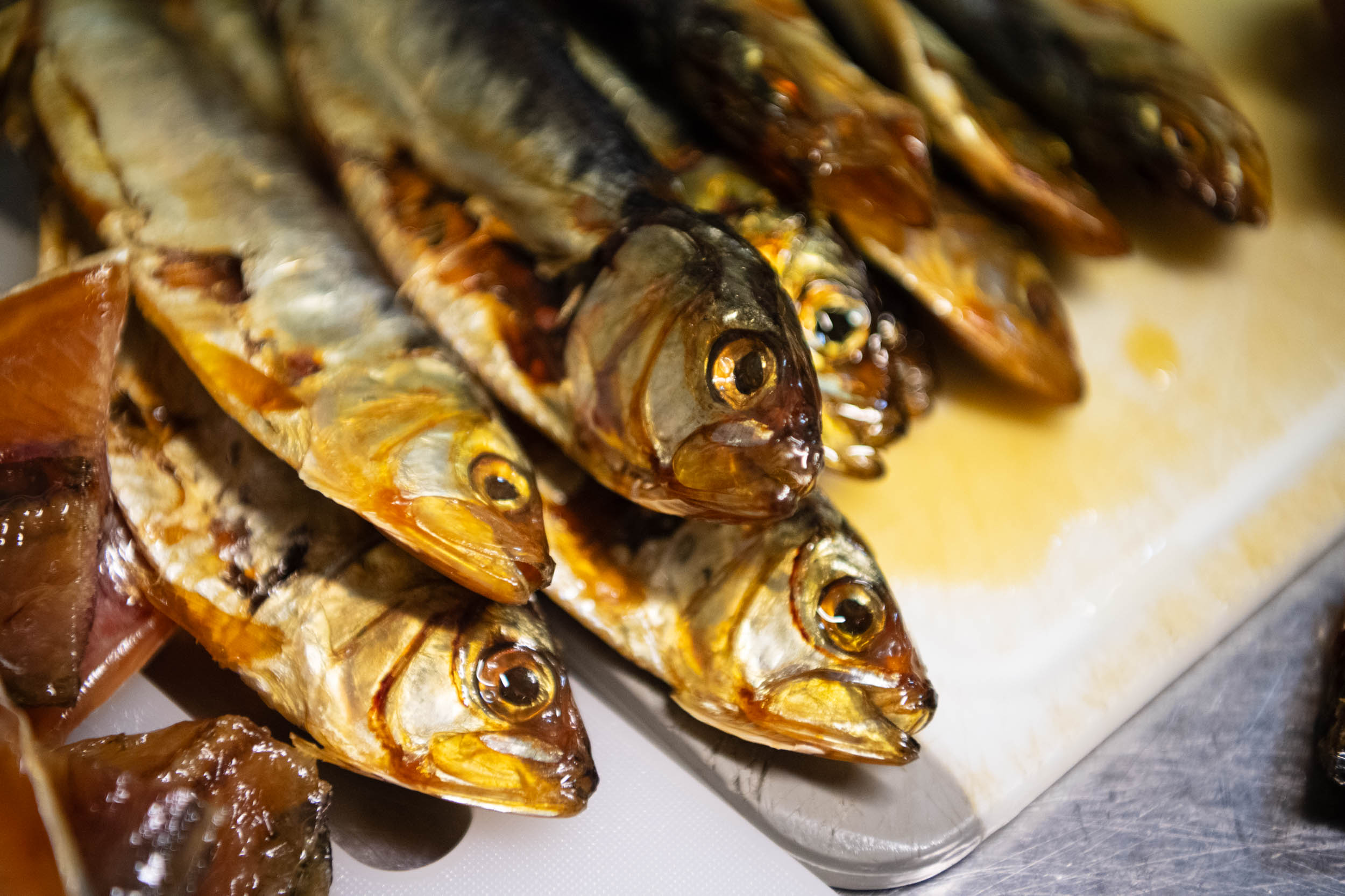 matteozanardi_(C)_025_3207