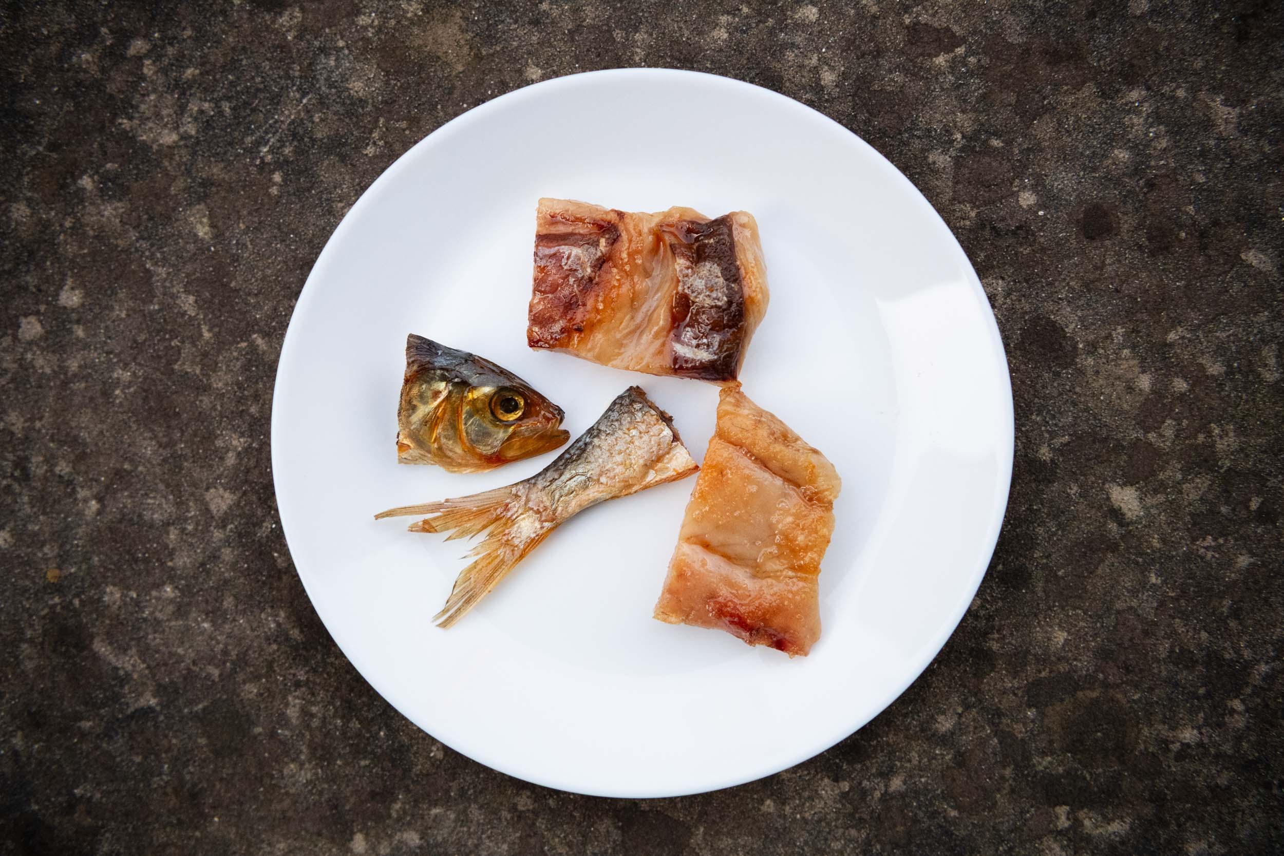 matteozanardi_(C)_025_3392