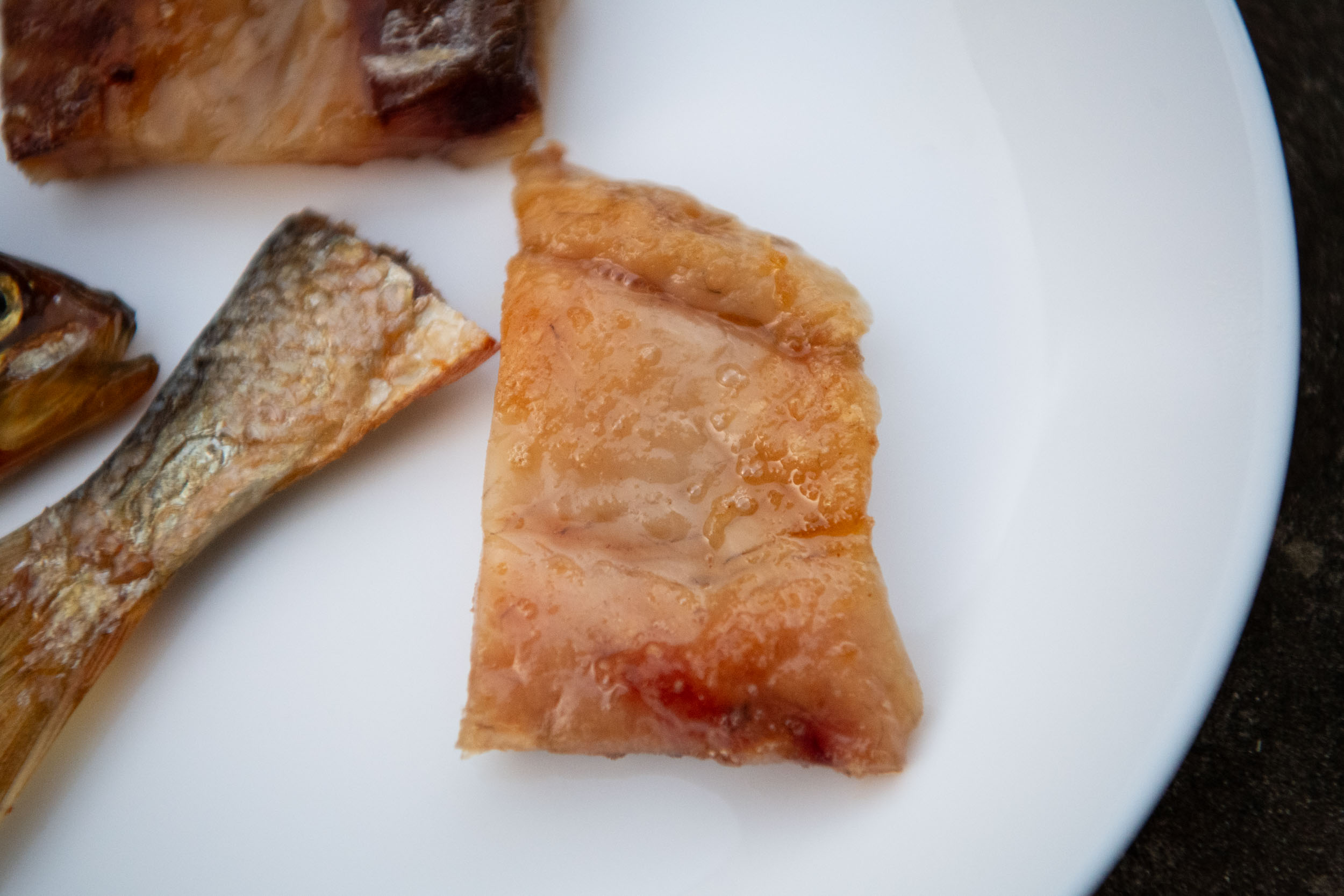 matteozanardi_(C)_025_3399