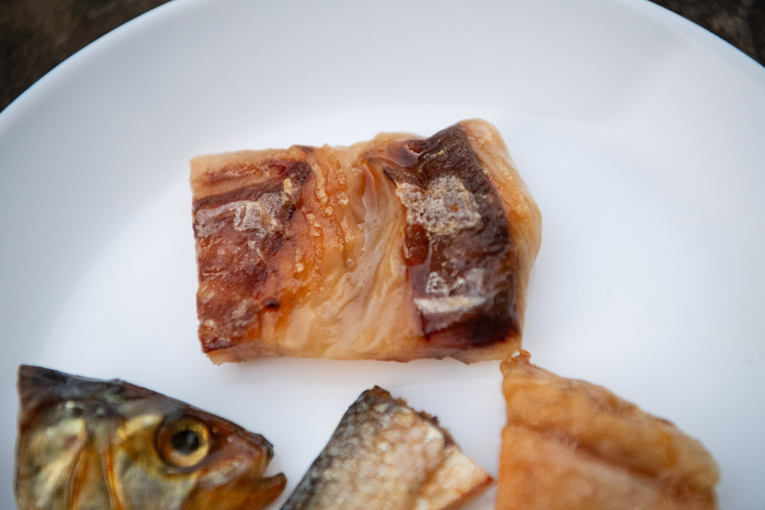 matteozanardi_(C)_025_3400