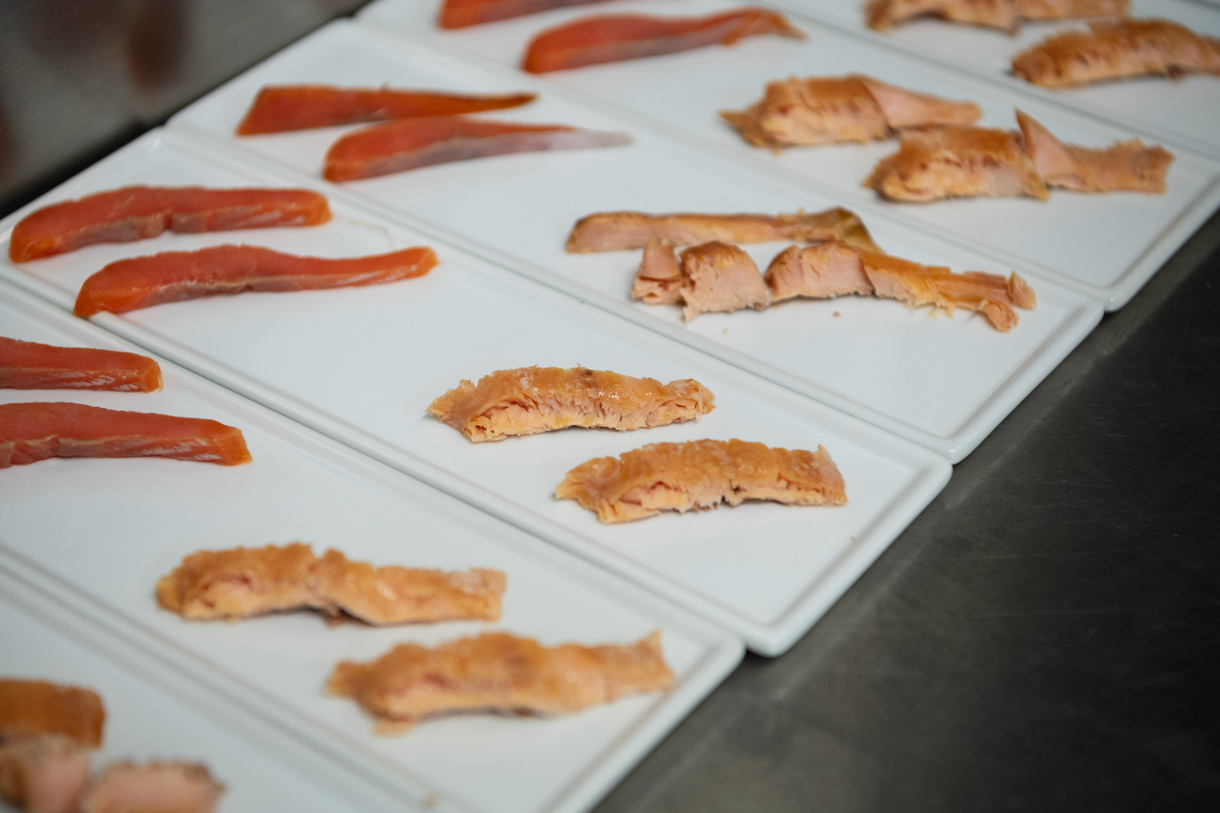 matteozanardi_(C)_025_3413