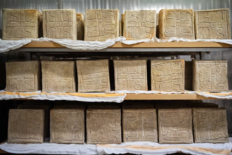 Scalere con salva cremasco DOP